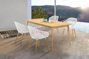 Nassau Outdoor Arm Dining Chairs in Sand Taupe Finish with Wood legs- Set of 2 - Furniture City (CA)l