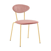 Neo Modern Pink Velvet and Gold Metal Leg Dining Room Chairs - Set of 2 - Furniture City (CA)l
