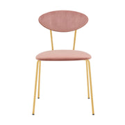 Neo Modern Pink Velvet and Gold Metal Leg Dining Room Chairs - Set of 2 - Furniture City (CA)l