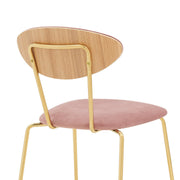 Neo Modern Pink Velvet and Gold Metal Leg Dining Room Chairs - Set of 2 - Furniture City (CA)l