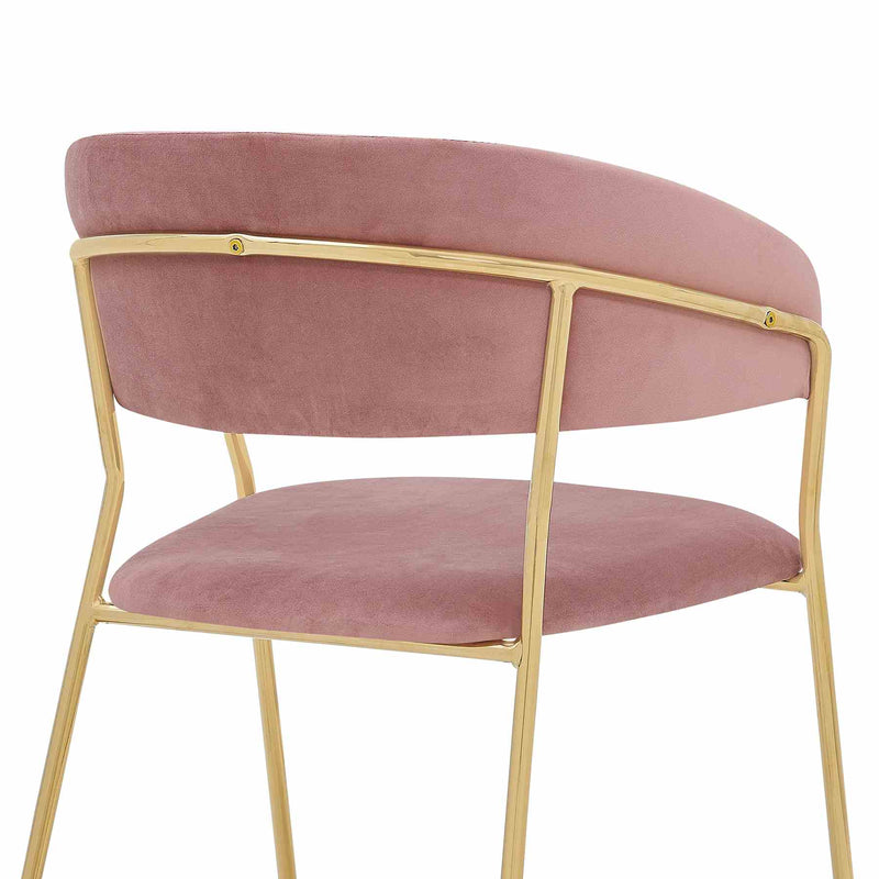 Nara Modern Pink Velvet and Gold Metal Leg Dining Room Chairs - Set of 2 - Furniture City (CA)l