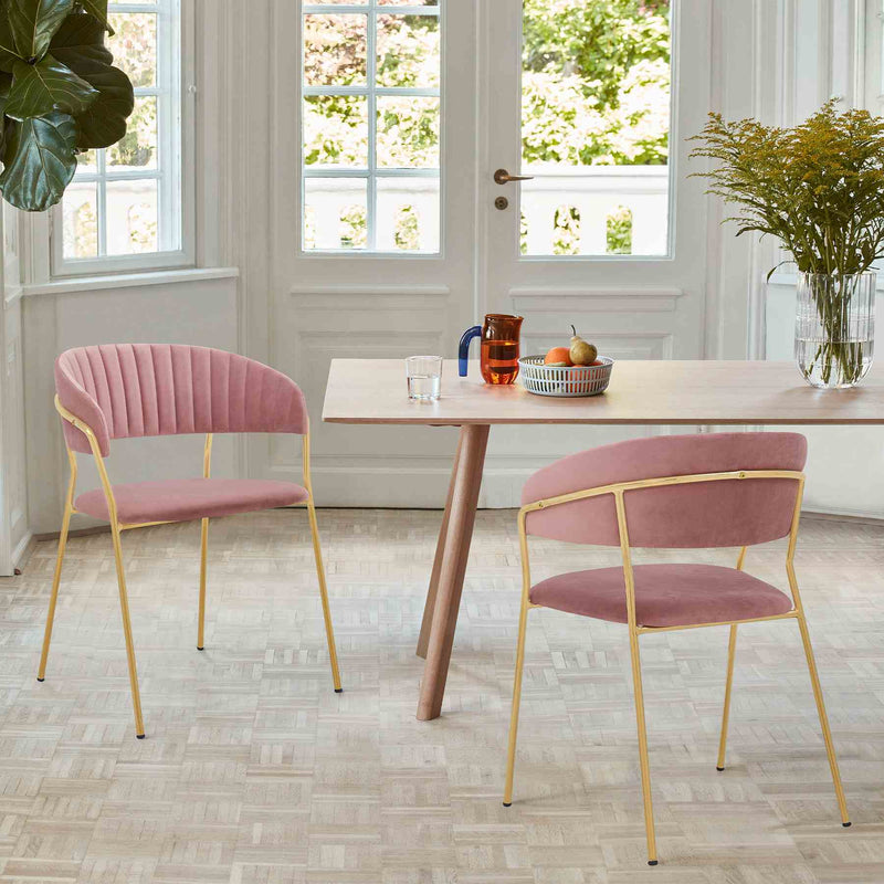 Nara Modern Pink Velvet and Gold Metal Leg Dining Room Chairs - Set of 2 - Furniture City (CA)l