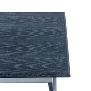 Westlake Black Veneer End Table with Brushed Stainless Steel Frame - Furniture City (CA)l