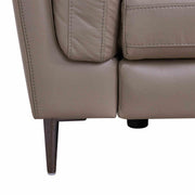 Primrose Contemporary Chair in Dark Metal Finish and Greige Genuine Leather - Furniture City (CA)l