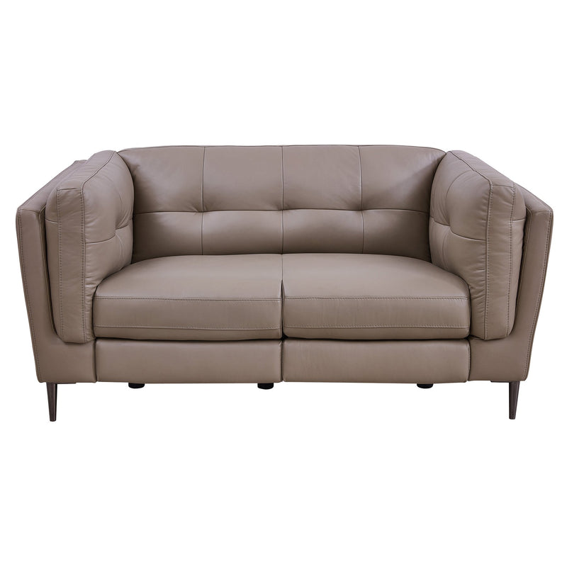 Primrose Contemporary Loveseat in Dark Metal Finish and Greige Genuine Leather - Furniture City (CA)l