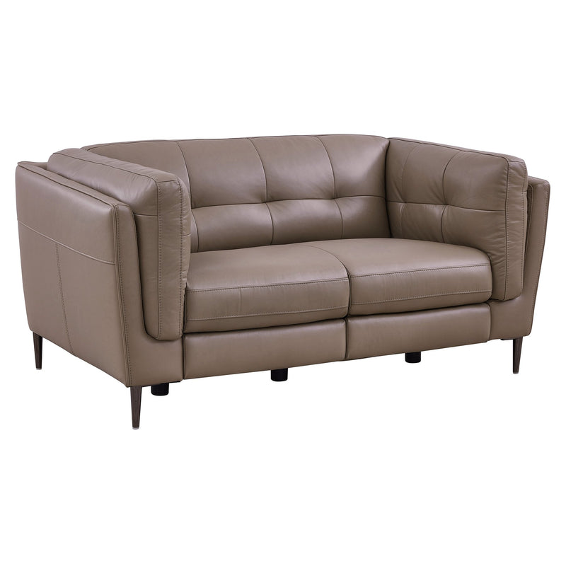 Primrose Contemporary Loveseat in Dark Metal Finish and Greige Genuine Leather - Furniture City (CA)l