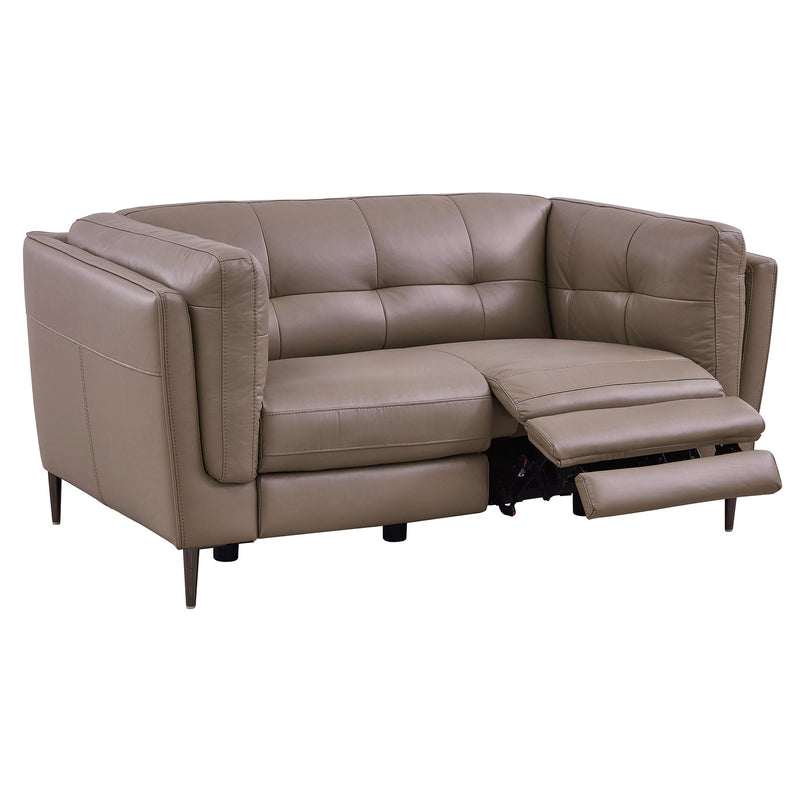 Primrose Contemporary Loveseat in Dark Metal Finish and Greige Genuine Leather - Furniture City (CA)l