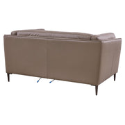 Primrose Contemporary Loveseat in Dark Metal Finish and Greige Genuine Leather - Furniture City (CA)l