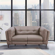 Primrose Contemporary Loveseat in Dark Metal Finish and Greige Genuine Leather - Furniture City (CA)l