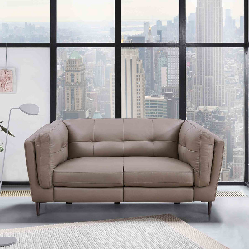 Primrose Contemporary Loveseat in Dark Metal Finish and Greige Genuine Leather - Furniture City (CA)l