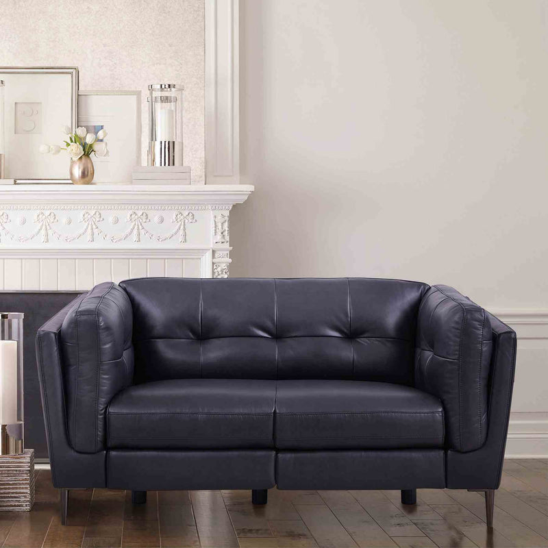 Primrose Contemporary Loveseat in Dark Metal Finish and Navy Genuine Leather - Furniture City (CA)l
