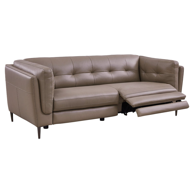 Primrose Contemporary Sofa in Dark Metal Finish and Greige Genuine Leather - Furniture City (CA)l