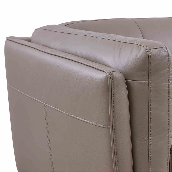 Primrose Contemporary Sofa in Dark Metal Finish and Greige Genuine Leather