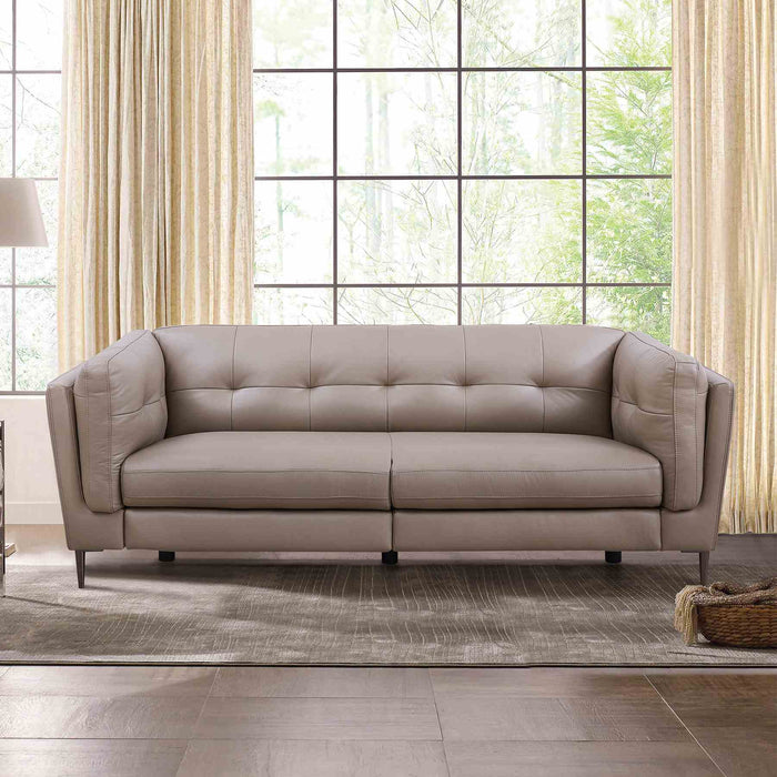 Primrose Contemporary Sofa in Dark Metal Finish and Greige Genuine Leather