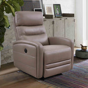 Tristan Contemporary Recliner in Greige Genuine Leather - Furniture City (CA)l