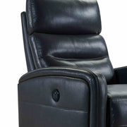 Tristan Contemporary Recliner in Pewter Genuine Leather - Furniture City (CA)l