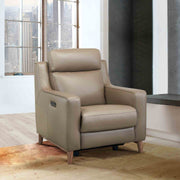 Wisteria Contemporary Chair in Light Brown Wood Finish and Taupe Genuine Leather - Furniture City (CA)l