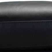 Wisteria Contemporary Loveseat in Light Brown Wood Finish and Black Genuine Leather - Furniture City (CA)l
