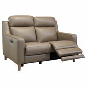 Wisteria Contemporary Loveseat in Light Brown Wood Finish and Taupe Genuine Leather - Furniture City (CA)l