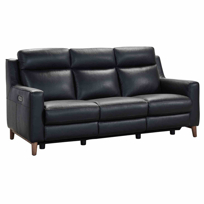 Wisteria Contemporary Sofa in Light Brown Wood Finish and Black Genuine Leather - Furniture City (CA)l