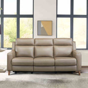 Wisteria Contemporary Sofa in Light Brown Wood Finish and Taupe Genuine Leather - Furniture City (CA)l