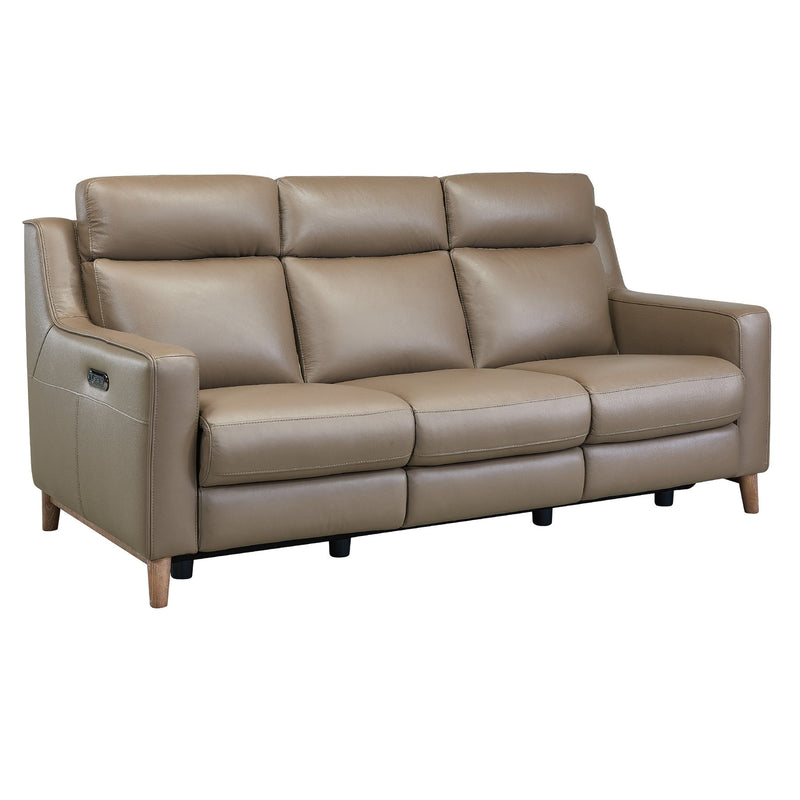 Wisteria Contemporary Sofa in Light Brown Wood Finish and Taupe Genuine Leather - Furniture City (CA)l