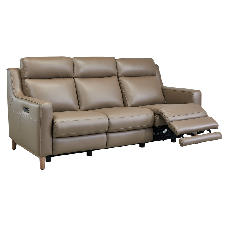 Wisteria Contemporary Sofa in Light Brown Wood Finish and Taupe Genuine Leather - Furniture City (CA)l