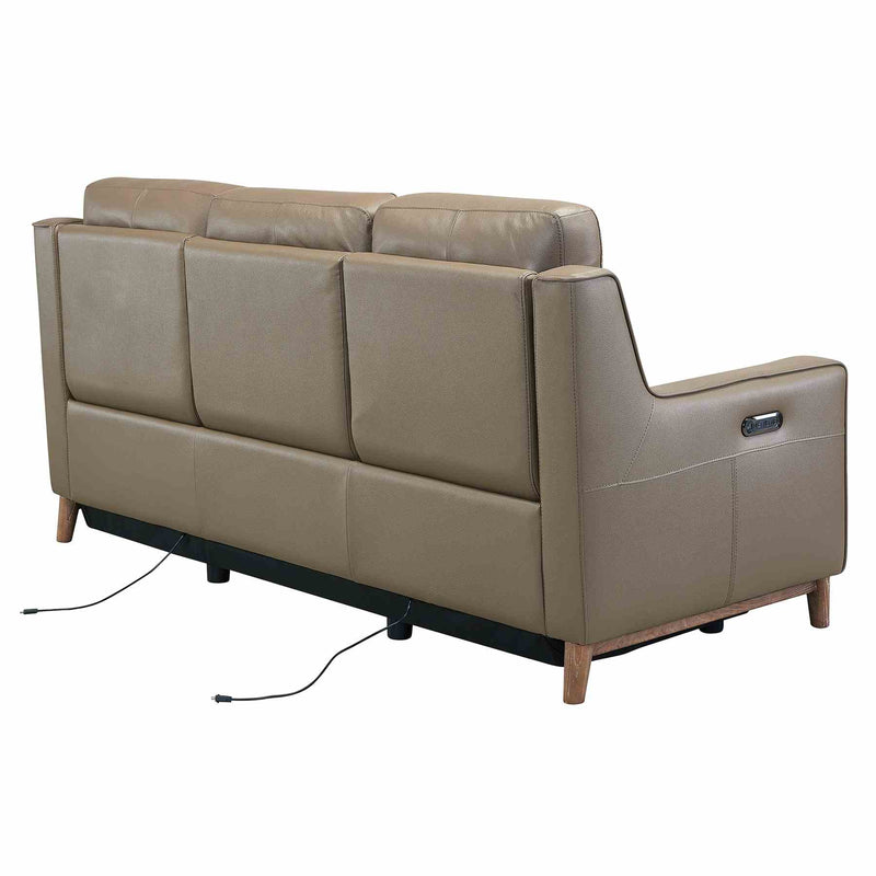 Wisteria Contemporary Sofa in Light Brown Wood Finish and Taupe Genuine Leather - Furniture City (CA)l
