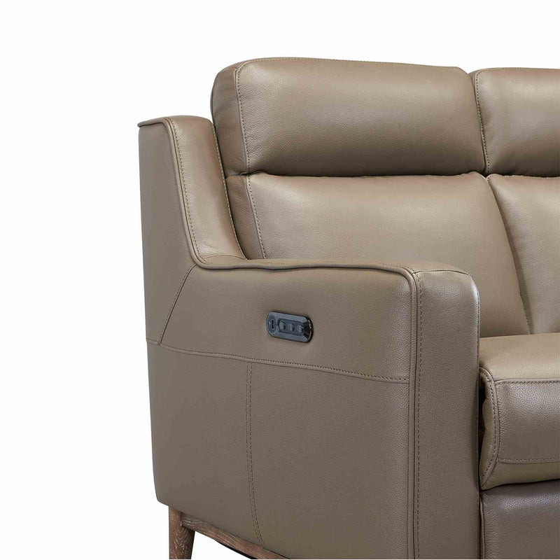 Wisteria Contemporary Sofa in Light Brown Wood Finish and Taupe Genuine Leather - Furniture City (CA)l