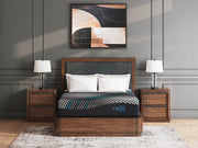 Millennium 2.0 Foam 12 Inch Mattress - Furniture City (CA)l