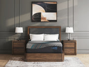 Millennium 2.0 Foam 14 Inch Mattress - Furniture City (CA)l