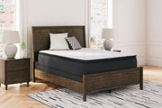 limited-edition-pt-queen-mattress-3
