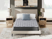 Comfort Plus Mattress - Furniture City (CA)l