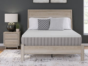 Terra Sleep Medium Mattress - Furniture City (CA)l