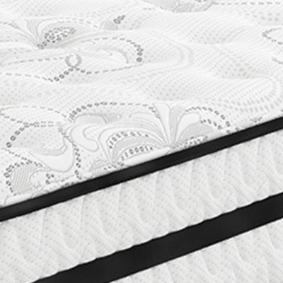 Chime 10 Inch Hybrid Mattress in a Box - Furniture City (CA)l