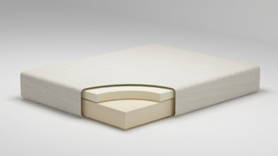 Chime 8 Inch Memory Foam Mattress in a Box - Furniture City (CA)l
