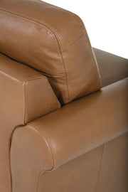 Palliser Furniture Rosebank Leather Loveseat - Furniture City (CA)l