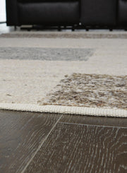 barus-8-x-10-rug-3