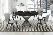 Cirque and Varde 5 Piece Black Round Dining Set - Furniture City (CA)l