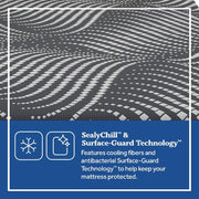High Point Foam Mattress - Furniture City (CA)l