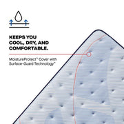 Plainfield Mattress - Furniture City (CA)l