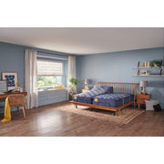 Forsyth Park Innerspring Mattress - Furniture City (CA)l