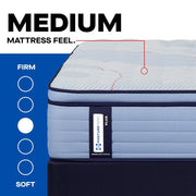 Paterson II Spring Mattress - Furniture City (CA)l