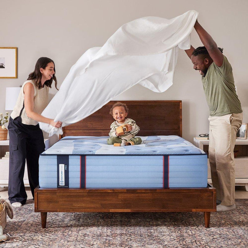 Sulina Spring Mattress - Furniture City (CA)l