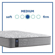 Lavina II Innerspring Mattress - Furniture City (CA)l