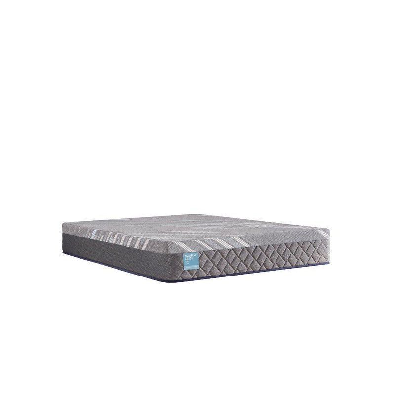 Remey Hybrid Mattress - Furniture City (CA)l