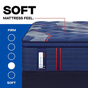 Albany II Spring Mattress - Furniture City (CA)l