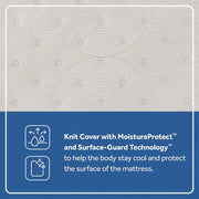 Zen Garden Spring Mattress - Furniture City (CA)l