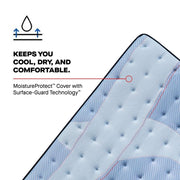 Goddard Spring Mattress - Furniture City (CA)l