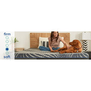 Albany Foam Mattress - Furniture City (CA)l